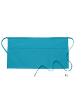 Cardi / DayStar Turquoise Deluxe XL Waist Apron (3 Pockets)
